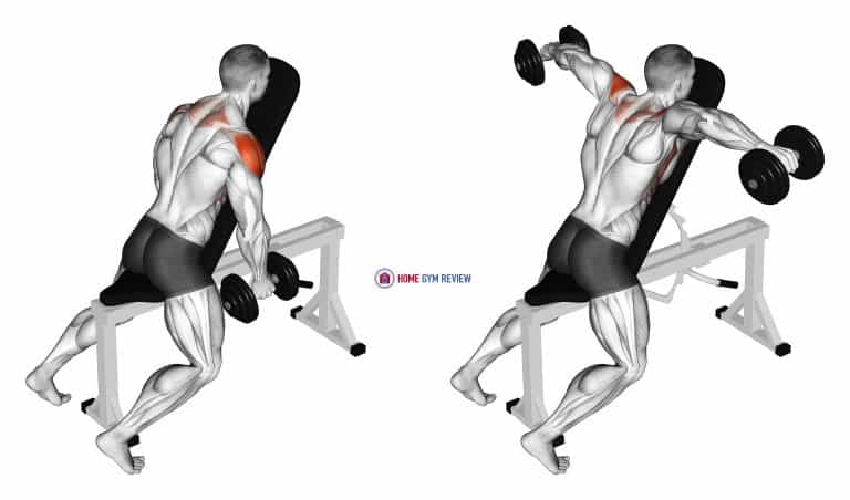 Dumbbell Chest Supported Lateral Raises Home Gym Review