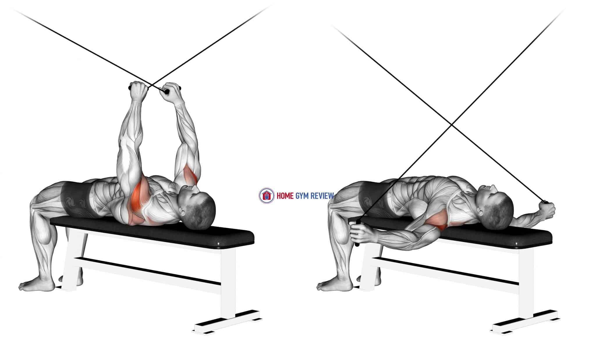 Cable Supine Reverse Fly - Home Gym Review