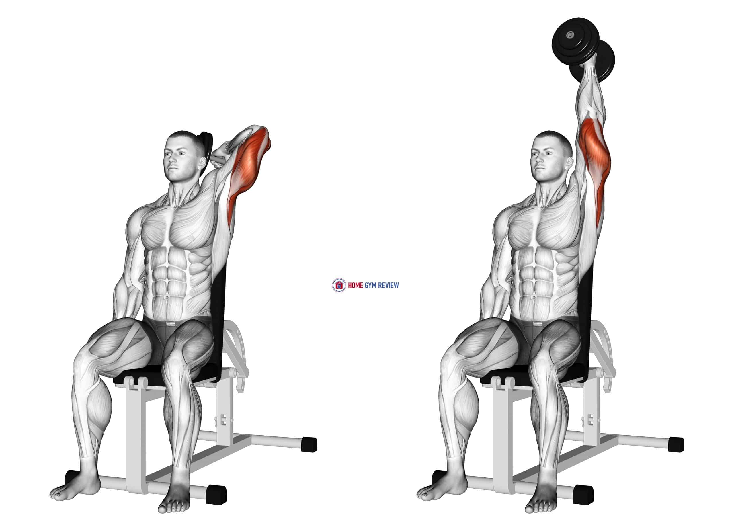 With Dumbbells Single Arm Tricep Workouts Single Db Tricep - Main Image