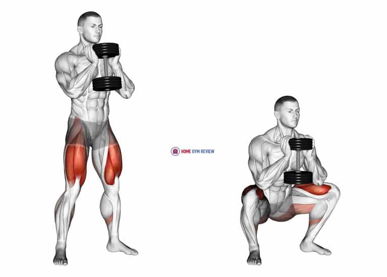 Dumbbell Goblet Squat - Home Gym Review
