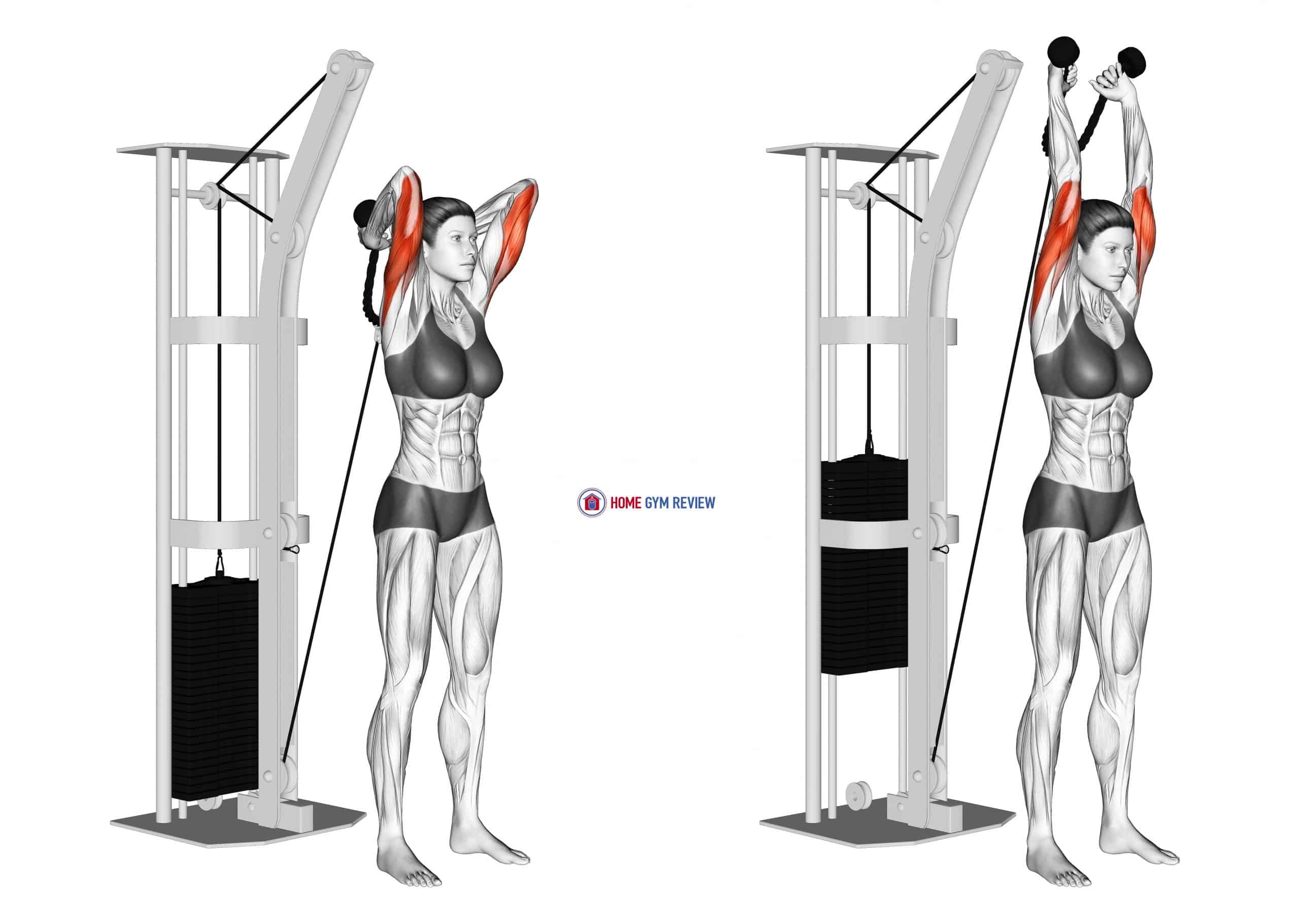 Tricep Cable Exercises Women Tricep Cable Exercises Women
