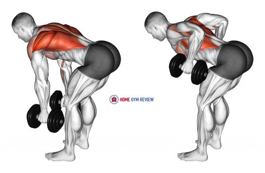 Dumbbell Bent Over Row - Home Gym Review