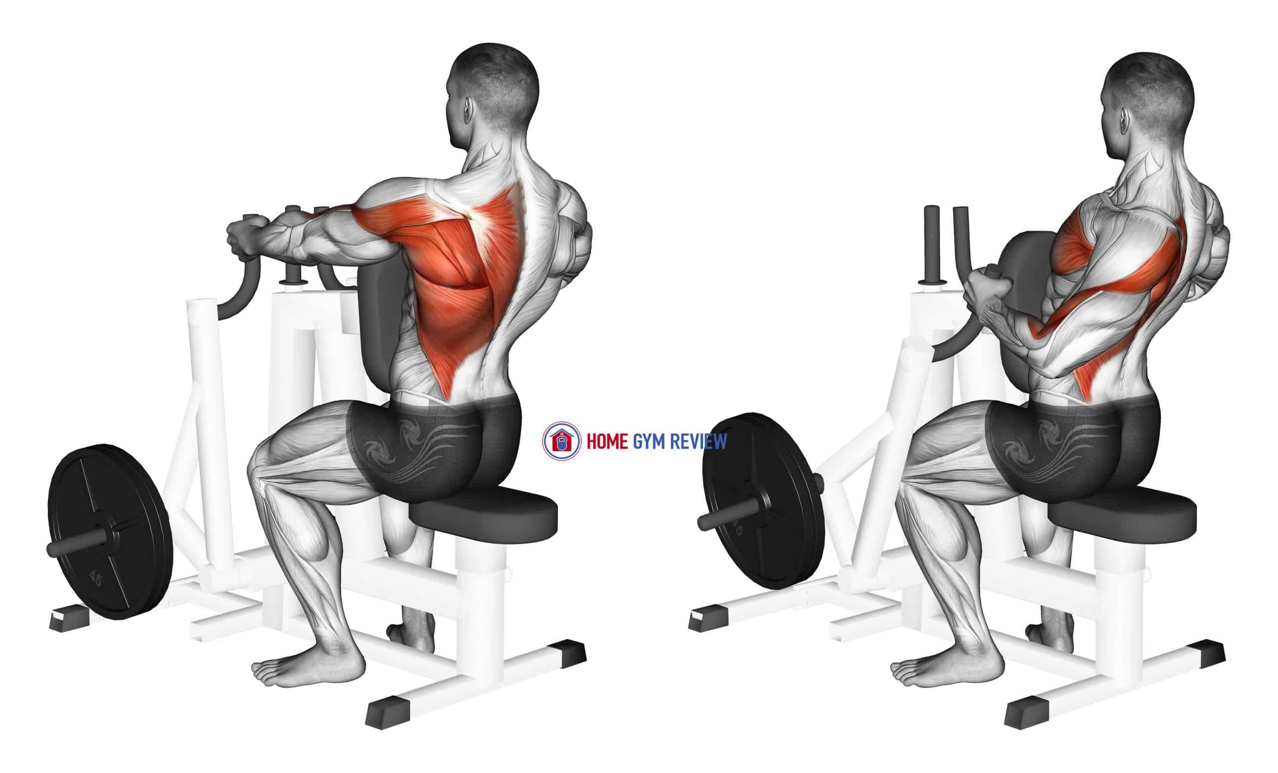 Lever Alternating Narrow Grip Seated Row (plate loaded) - Home Gym Review