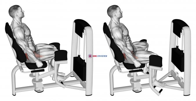 Lever Seated Hip Abduction - Home Gym Review