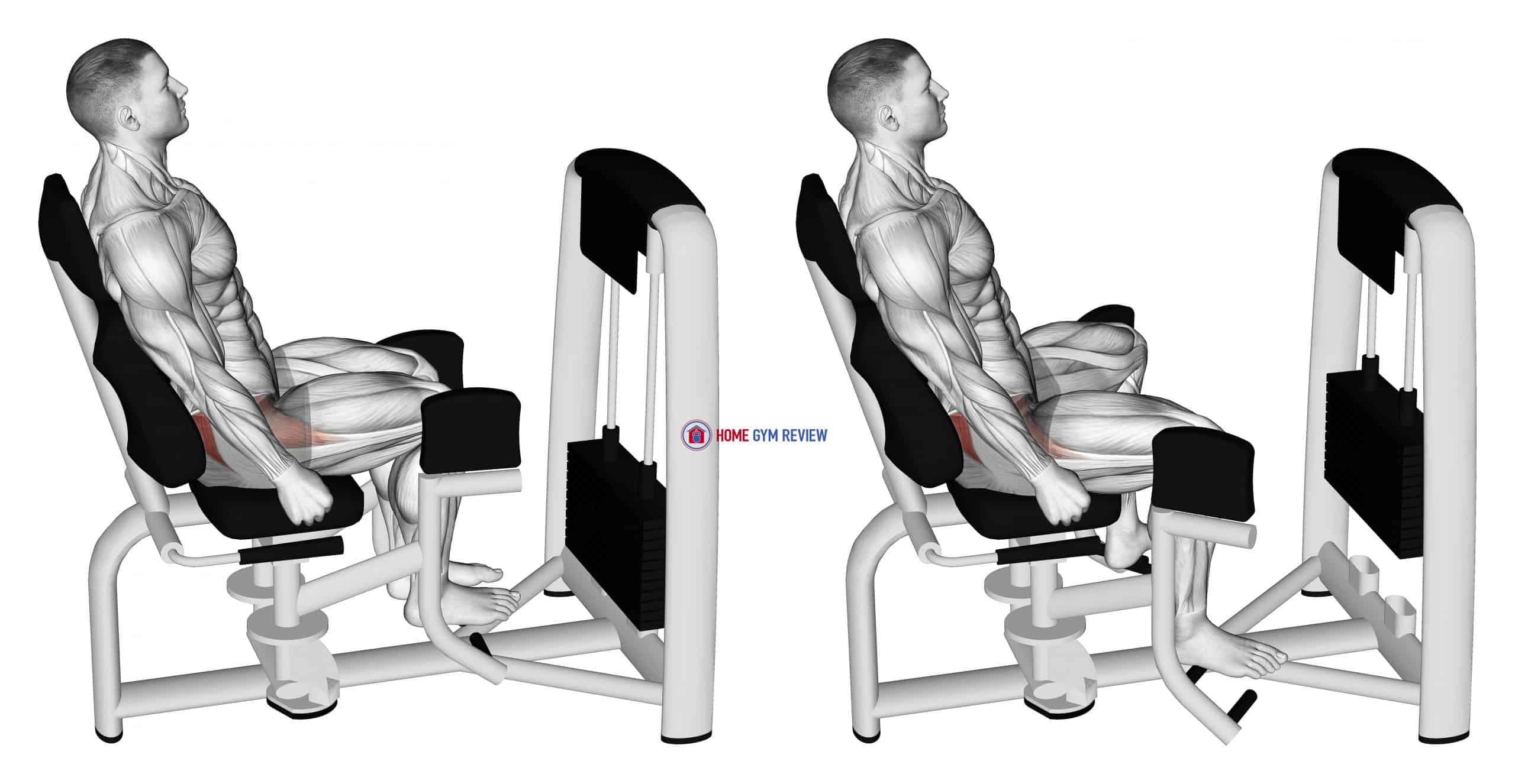 Lever Seated Hip Abduction Home Gym Review