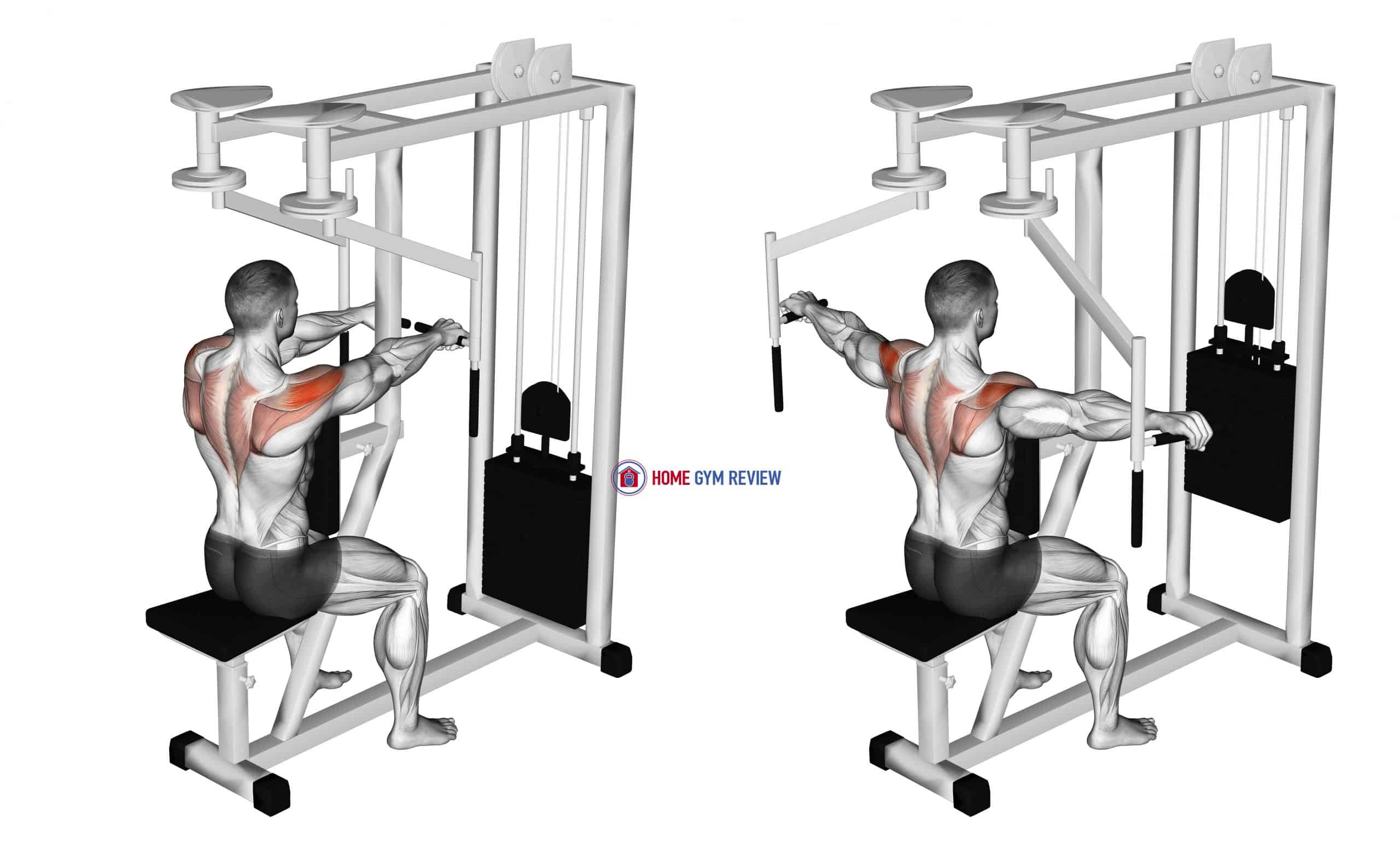 lever-seated-reverse-fly-home-gym-review