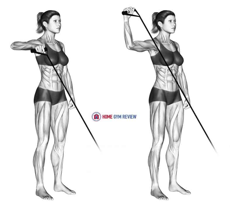 Band Upright Shoulder External Rotation - Home Gym Review