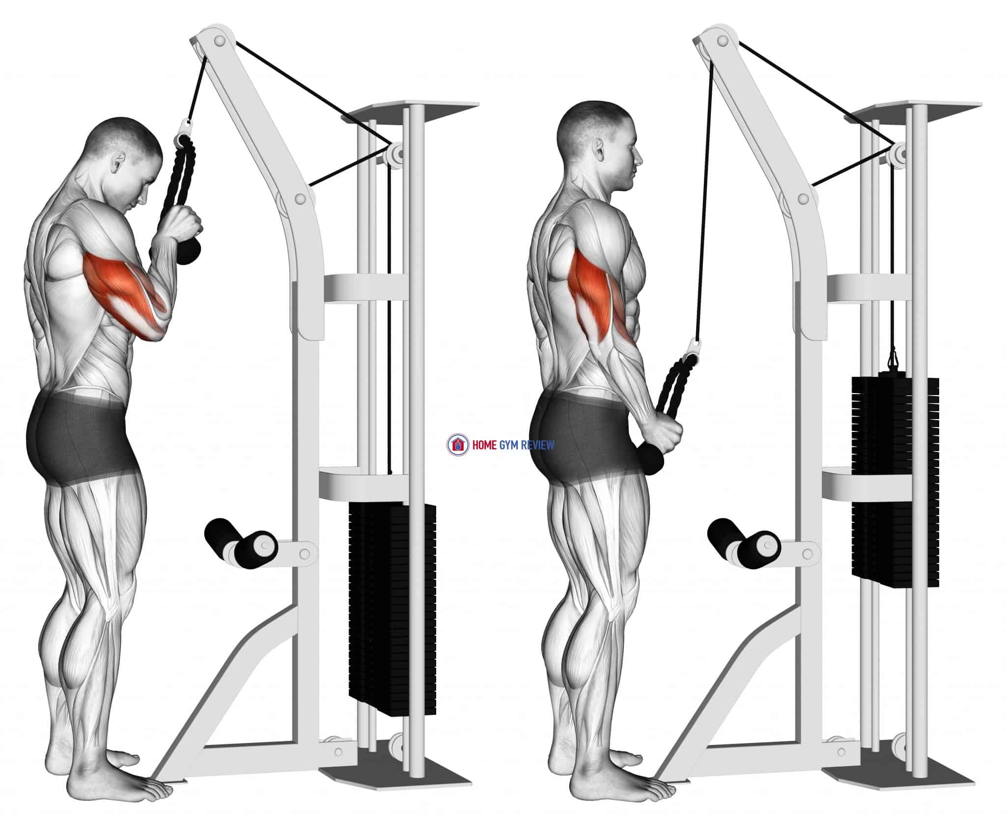 Cable Standing One Arm Tricep Pushdown (Overhand Grip) - Home Gym Review