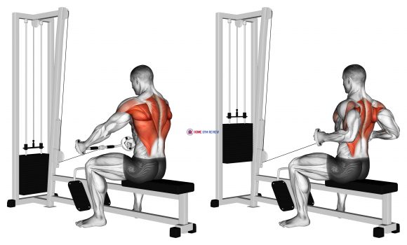 Cable Seated Row (Bent bar) - Home Gym Review