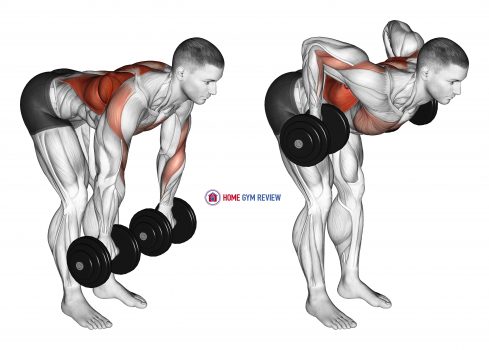 Dumbbell Palm Rotational Bent Over Row - Home Gym Review