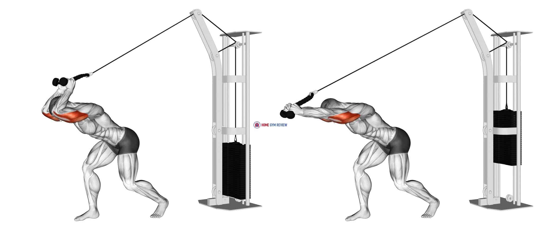 Cable High Pulley Overhead Tricep Extension - Home Gym Review