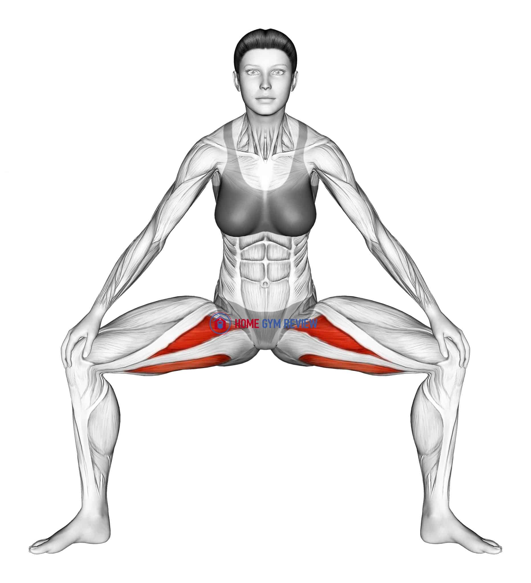 Standing Wide Knees Adductor Stretch - Home Gym Review