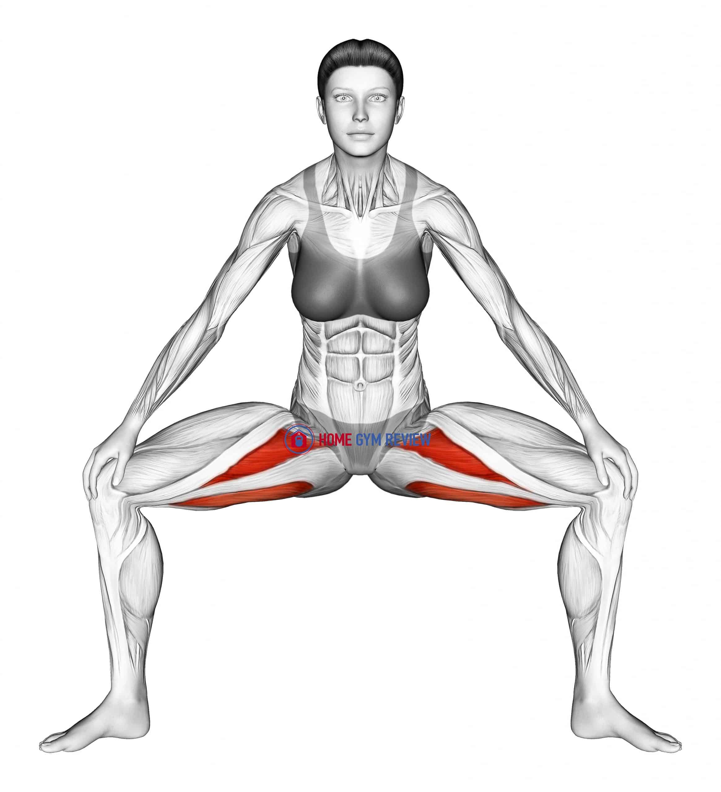 Standing Wide Knees Adductor Stretch - Home Gym Review