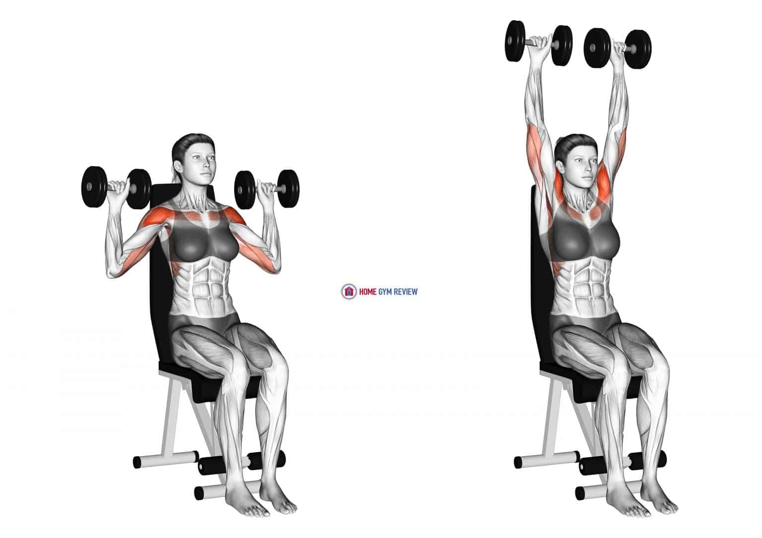 Dumbbell Seated Shoulder Press Female Home Gym Review 