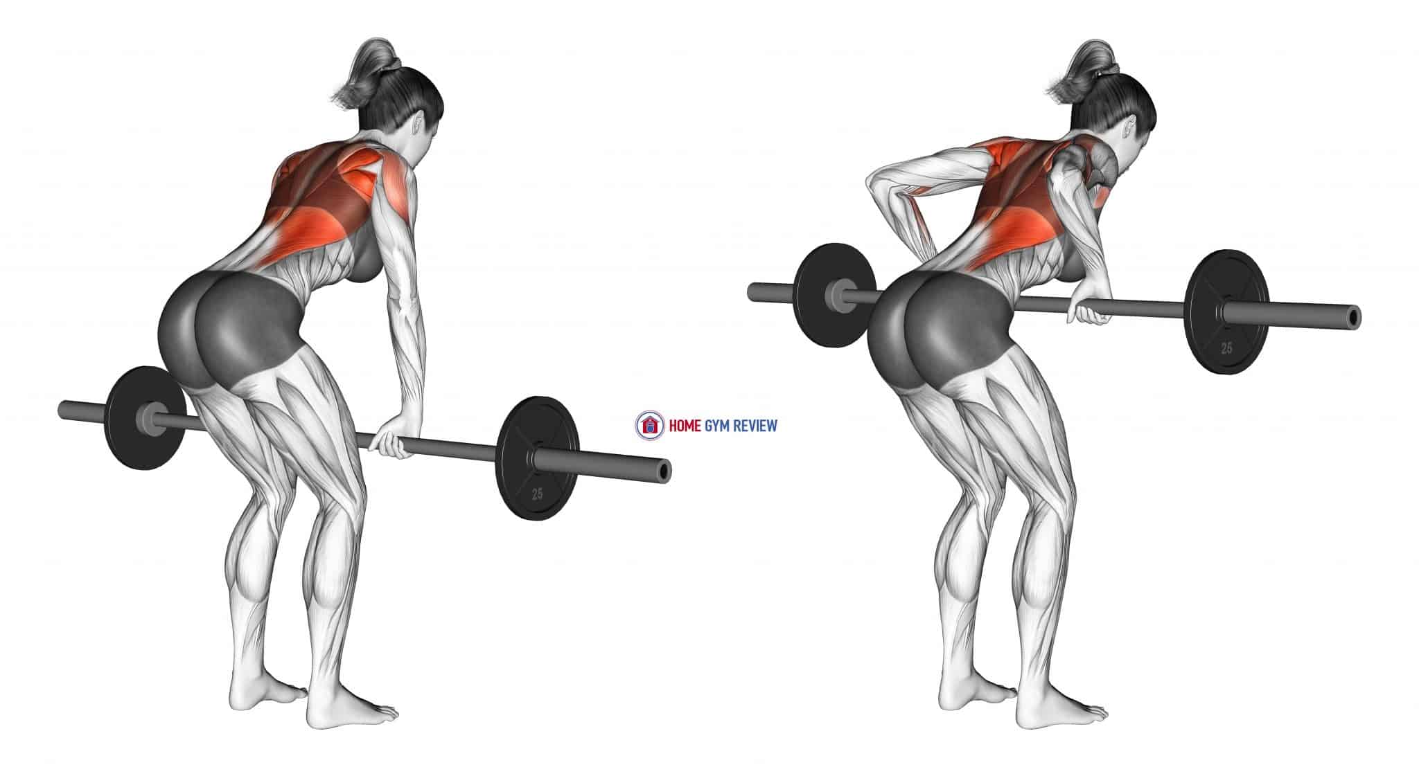 Barbell Bent Over Row (female) - Home Gym Review