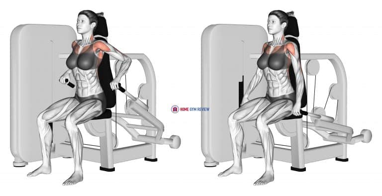 Cable Triceps Pushdown V Bar Female Home Gym Review