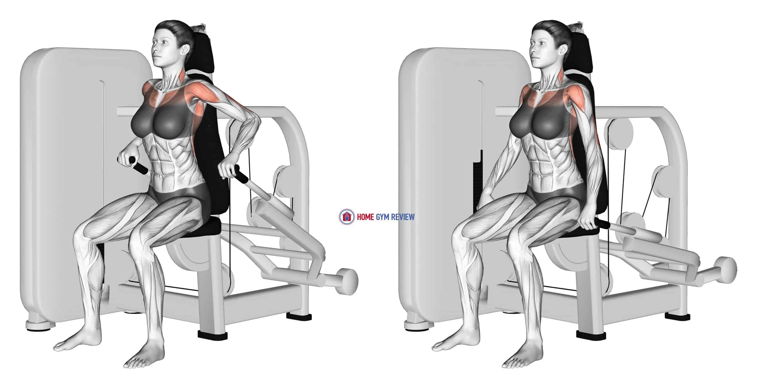 Lever Seated Dip Female Home Gym Review