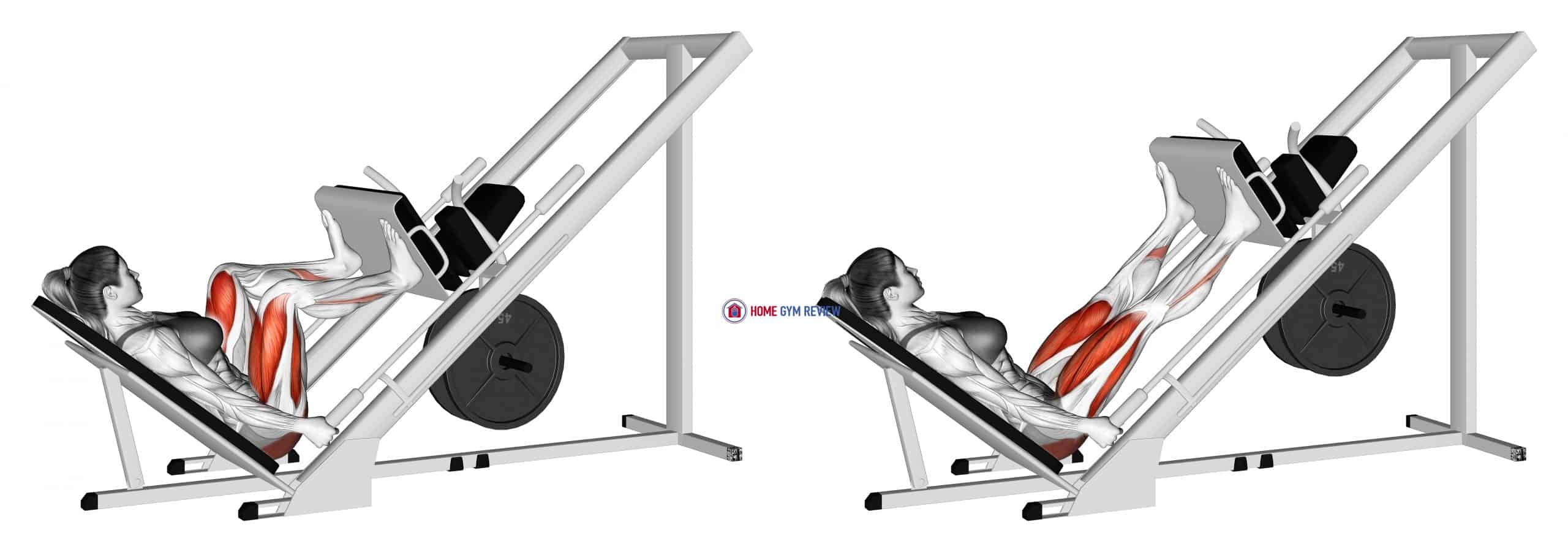 Sled 45 degrees Wide Stance Leg Press (female) - Home Gym Review